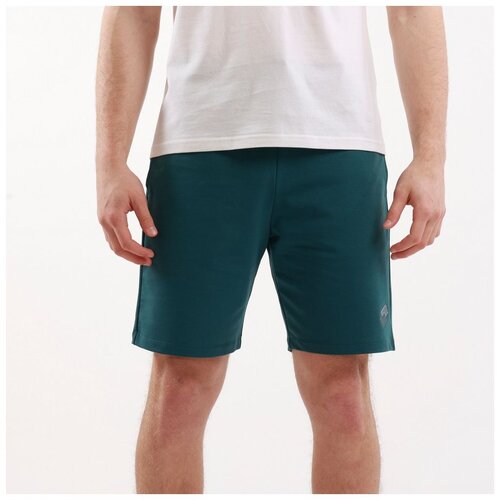 Lotto muški  šorc orizzonte shorts M Cene