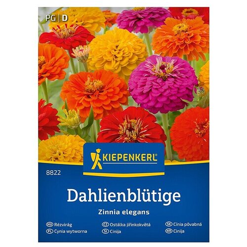 KIEPENKERL Cvetlična semena Cinija Dahlienbl&uuml;tige (Zinnia elegans, Večbarvna) Cene