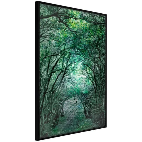  Poster - Tree Tunnel 40x60