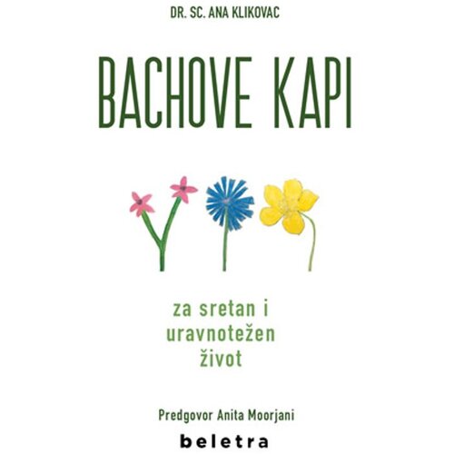 Beletra Bachove kapi , Ana Klikovac Slike
