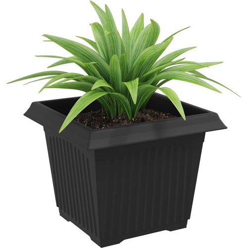  Kvadratna saksija za cvijeće 6 pcs Crna 23 x 23 x 17,5 cm Slike