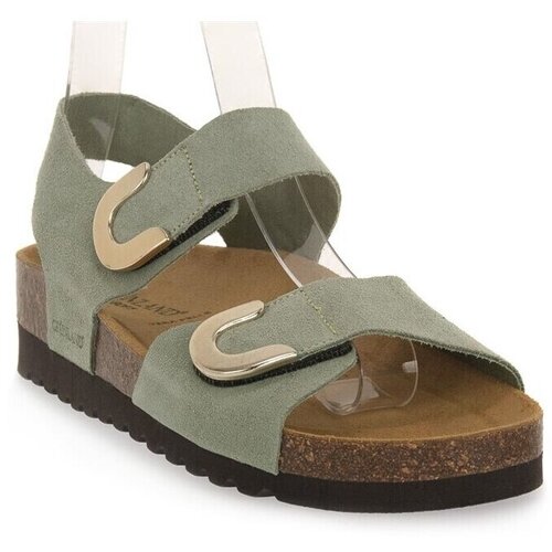 Grunland Sandali & Odprti čevlji Oliva pisana Cene