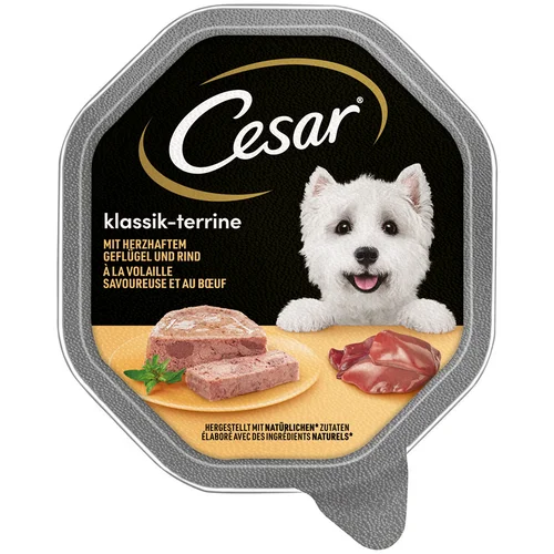 Cesar zdjelice 14 x 150 g - Classic terriner s peradi i govedinom