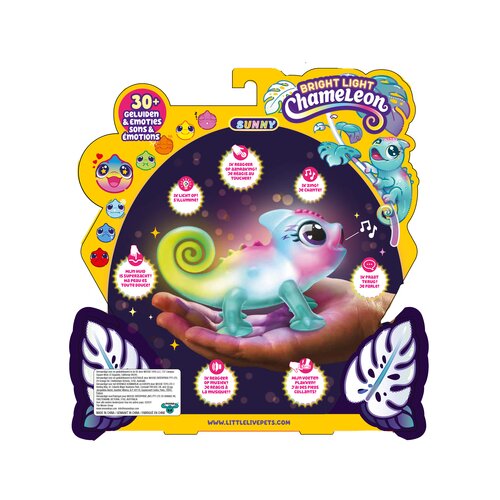Little live pets Kameleon Sunny Cene