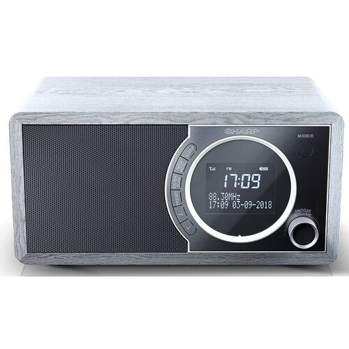 Sharp Prenosni radio DR-450 GR Cene