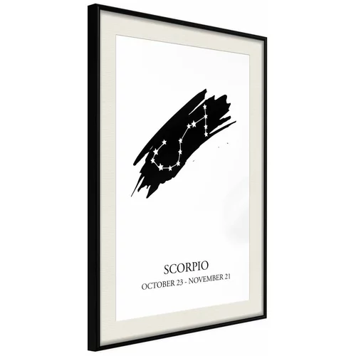  Poster - Zodiac: Scorpio I 40x60