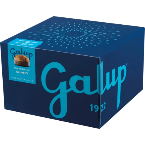 Galup Panettone Milano - 750 g