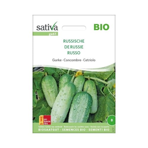 Sativa Ekološka kumara "Russische" Cene