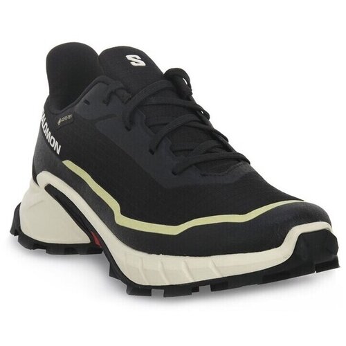 Salomon Alphacross 5 Gtx Crna Slike