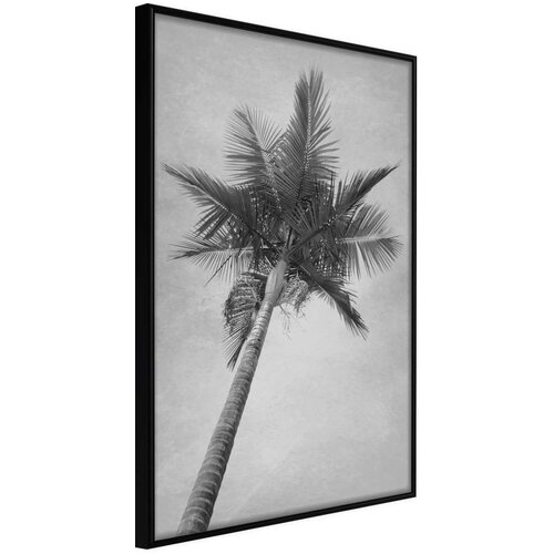  Poster - Memories from the Paradise 20x30 Cijene