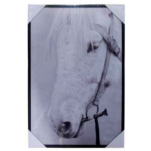 Master Slika Canvas 40x60x3,5cm Konji Cijene