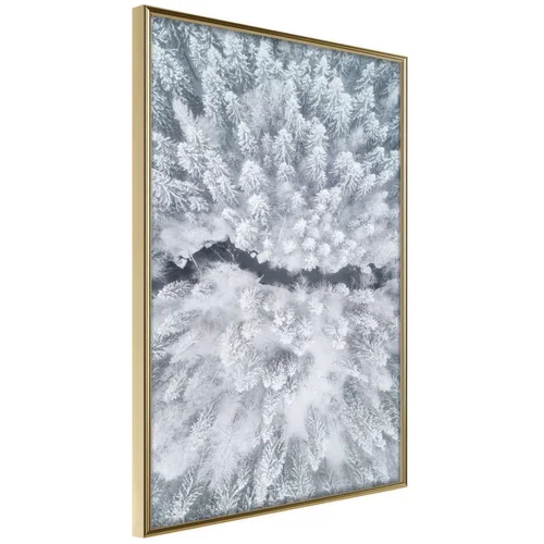  Poster - Winter Forest From a Bird's Eye View 20x30