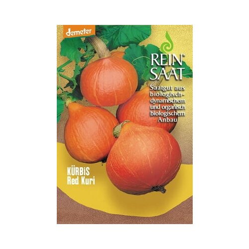 ReinSaat Buča "Red Kuri" Cene