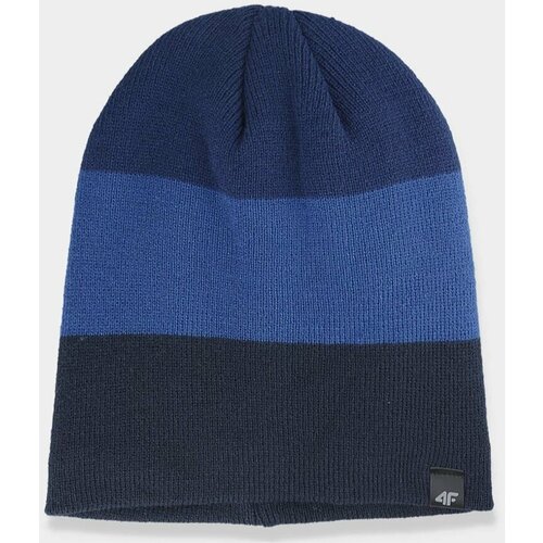 Kesi Men's winter hat 4F dark blue Cene