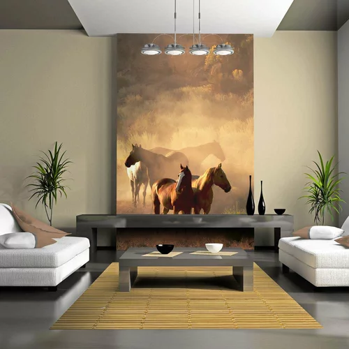  tapeta - Wild horses of the steppe 350x270