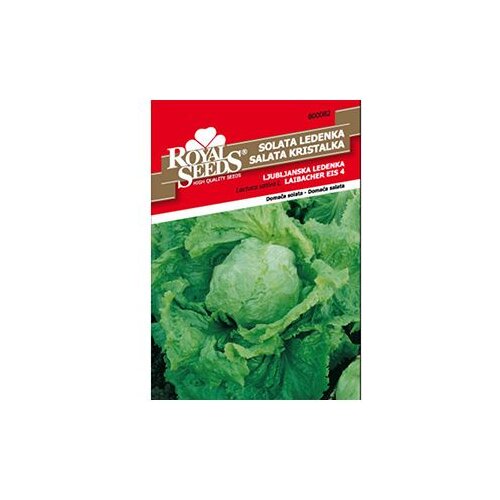  Salata Ljubljanska Ledenka Royal Seeds Cene