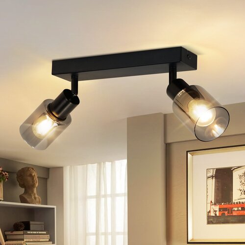 Nettlife Stropna svetilka, 2 plamena, črna, industrijska, E14, za dnevno sobo, (22116876) Cene