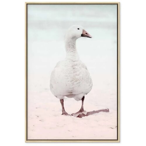  Slika - Winter Duck (1 Part) Vertical 60x90 U prirodnom drvenom okviru Slike