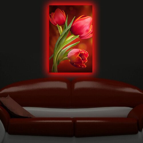 Wallity Zidna slika sa LED osvetljenjem 4570DACT-28, 45x70 cm Cene