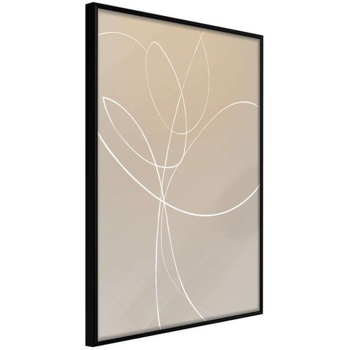  Poster - White Tulip 40x60 Slike