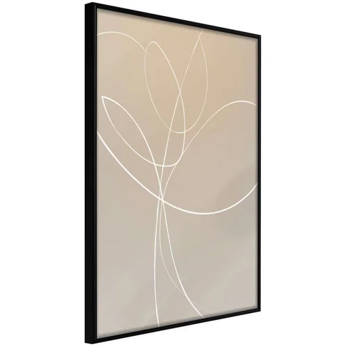  Poster - White Tulip 40x60