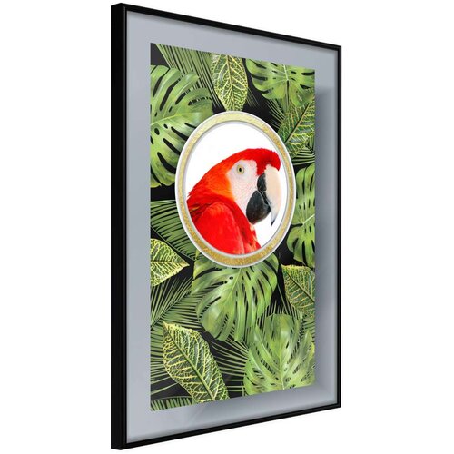  Poster - Parrot Says Hi 20x30 Cijene