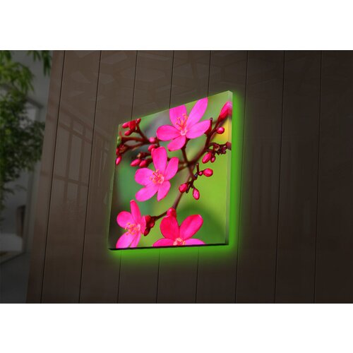 Wallity Slika sa LED osvetljenjem 4040DACT-40, 40x40 cm Cene