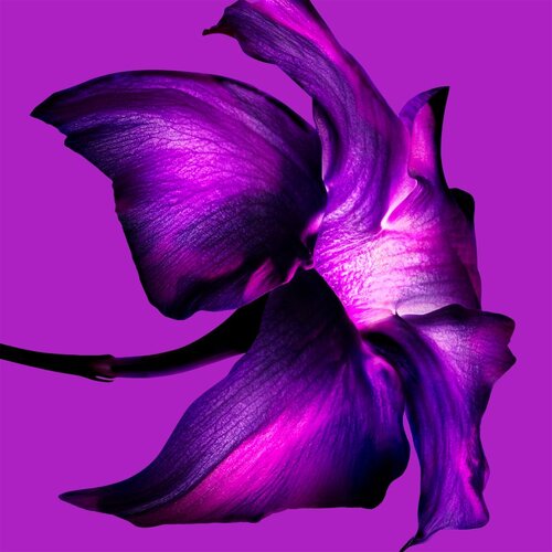 Mugler Alien Extraintense parfumska voda za ženske 10 ml Slike