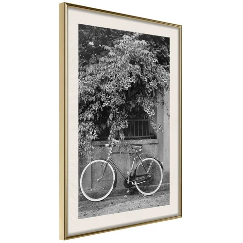  Poster - Bicycle with White Tires 20x30