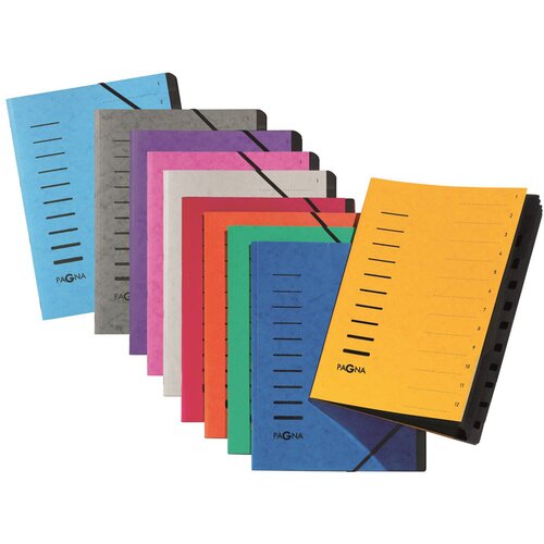 Pagna Organizator mapa sortirna datoteka, 12 predelkov, oranžna, (21652185) Slike