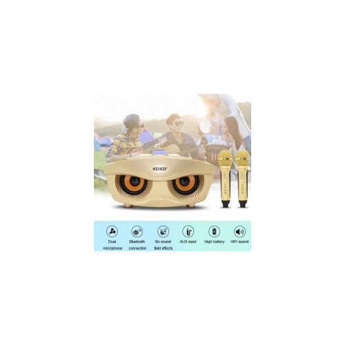  ZVUČNIK KARAOKE SD-306 Bluetooth + 2 MIKROFONA Slike