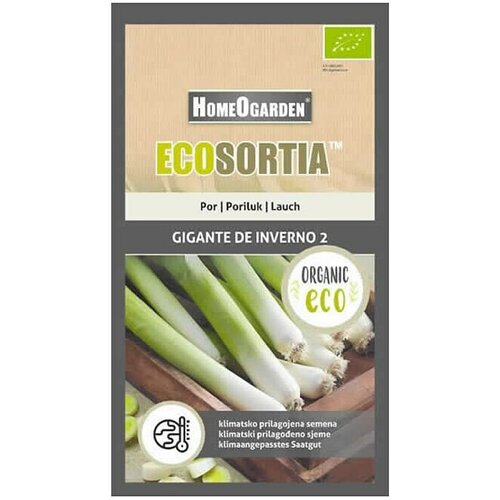 HOMEOGARDEN Sjeme povrća Ecosortia poriluk (Botanički opis: Allium porrum L.) Slike