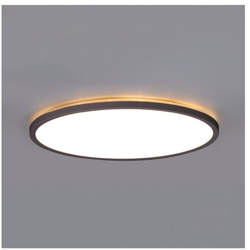  LED kupatilsko svetlo sa senzorom NIVERA LED/24W/230V IP54 prečnik 30 cm crno + daljinski upravljač Cene