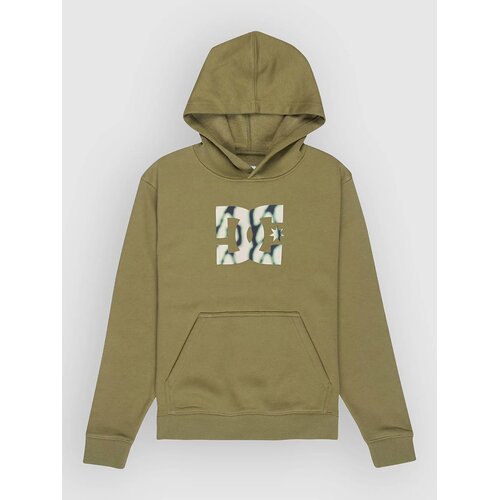 DC Star Filled Kids Hoodie oil green Cene
