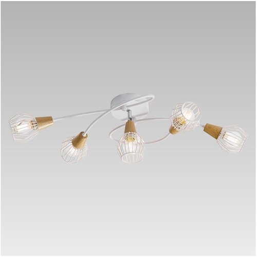  Prezent 27506 - Plafonski luster TAMETA 5xE14/40W/230V Cene