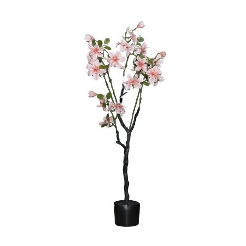 Dekordom Cvet u saksiji - magnolia 120cm - n60 ( 025153 ) Cene