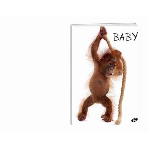 Elisa zvezek Baby, A5, črte Slike