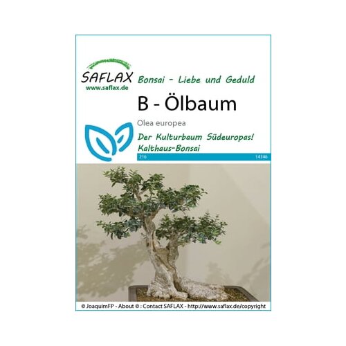 Saflax Bonsai - oljka Cene