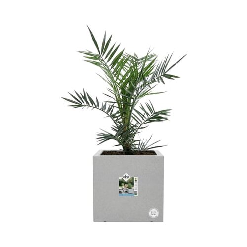 ELHO Korito za rastline vivo next quadrat - 30 cm - Beton Slike