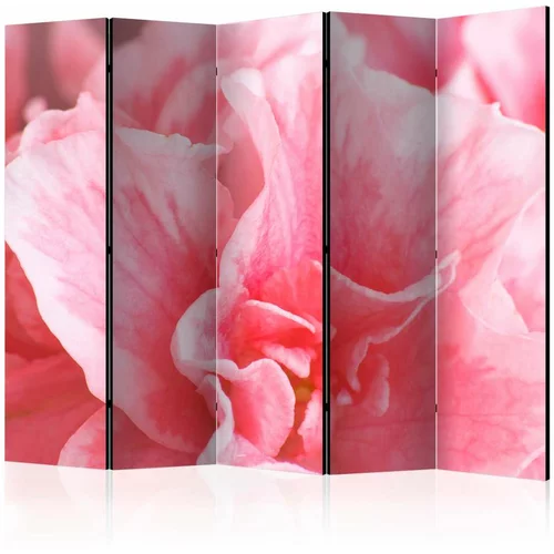  Paravan u 5 dijelova - Pink azalea flowers II [Room Dividers] 225x172