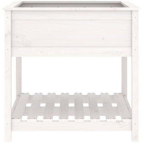  Sadilica s policom bijela 82,5x82,5x81 cm od masivne borovine Slike