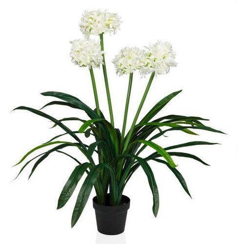 MID.YOU Umetna Rastlina Agapanthus Slike