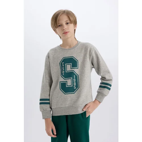 Defacto Boy's Crew Neck Printed Thick Sweatshirt