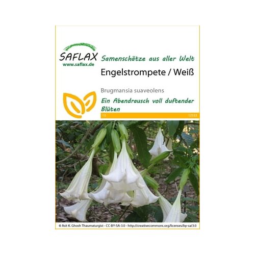 Saflax Kristavec / bela Cene