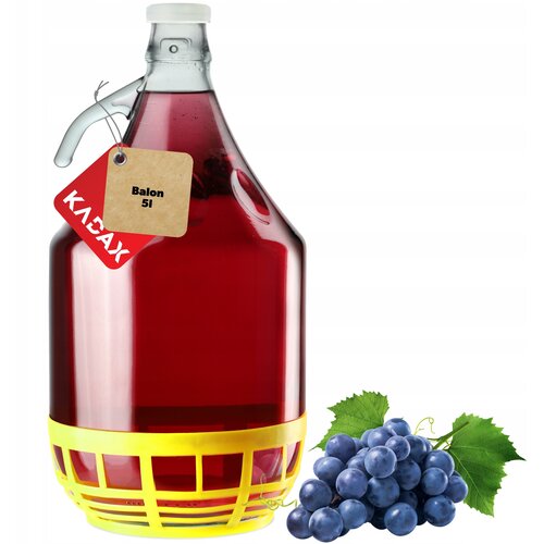 KADAX 5L steklenica Carboy Lady za vino, likerje, alkohol, mesečino + zapiralo, (5000354982) Cene