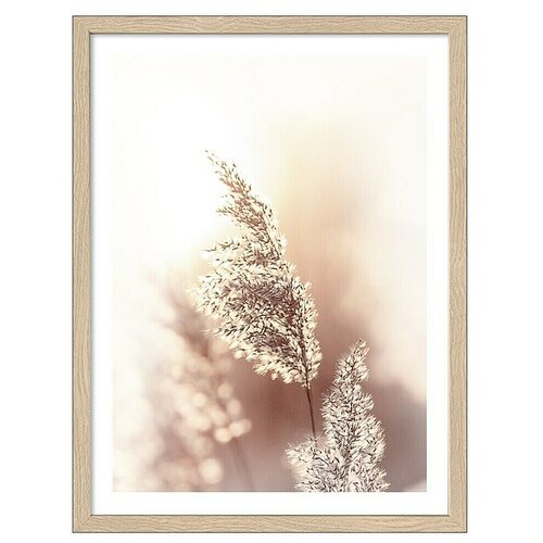 ProArt Slika Slim Scandic (Dried Fiber, &Scaron; x V: 33 x 43 cm) Cene