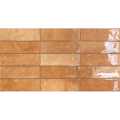 Prissmacer PRE PONTO Cotto 31,6x60 Zidna sjaj Slike