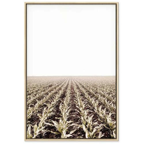  Slika - Corn Field (1 Part) Vertical 60x90 U prirodnom drvenom okviru Slike