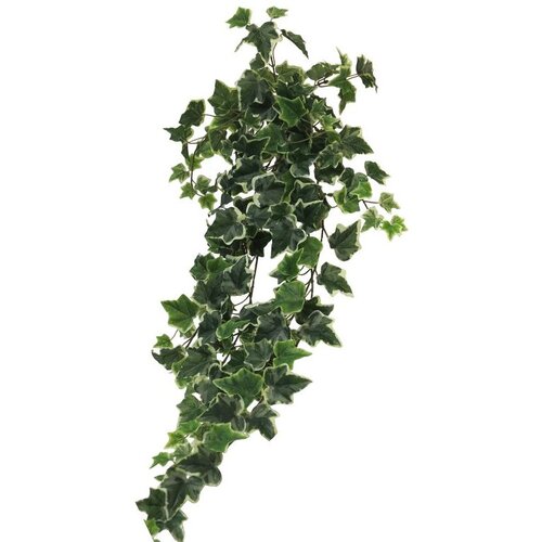  Cvet CHICAGO 86cm 31001-2 - Variegated - NNT Cene