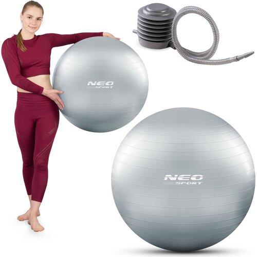 Neo-Sport 65 cm Silver Exercise Ball - Ergonomic Anti-Burst Fitness Ball for Home Workouts, (21740567) Cene